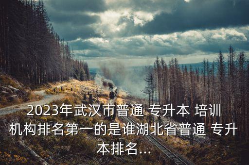 2023年武漢市普通 專升本 培訓(xùn)機(jī)構(gòu)排名第一的是誰湖北省普通 專升本排名...