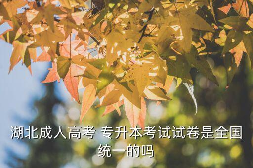 湖北成人高考 專升本考試試卷是全國統(tǒng)一的嗎