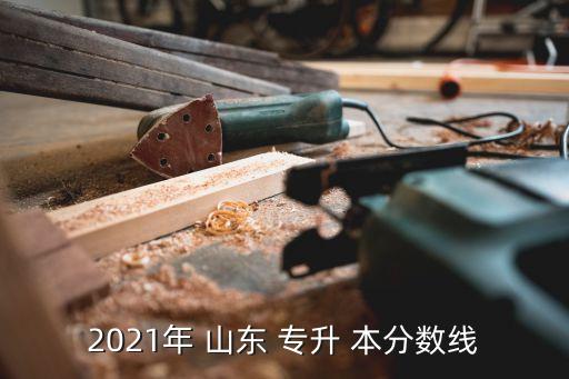 2021年 山東 專升 本分?jǐn)?shù)線