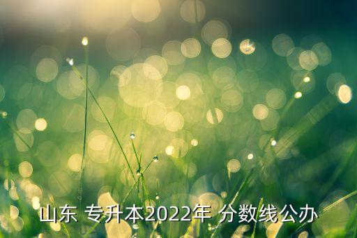 山東 專升本2022年 分數(shù)線公辦