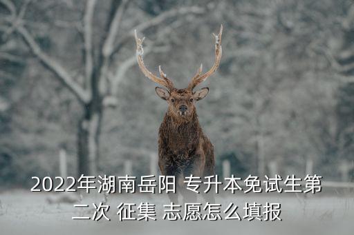 2022年湖南岳陽(yáng) 專升本免試生第二次 征集 志愿怎么填報(bào)