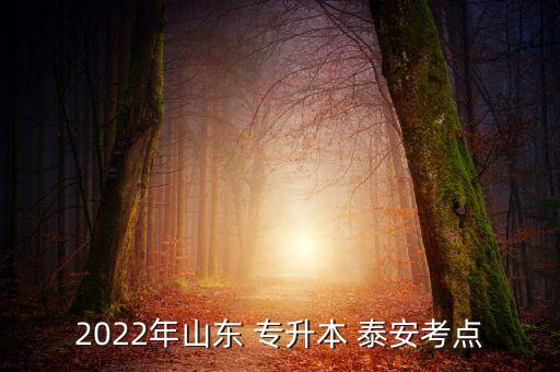 2022年山東 專升本 泰安考點