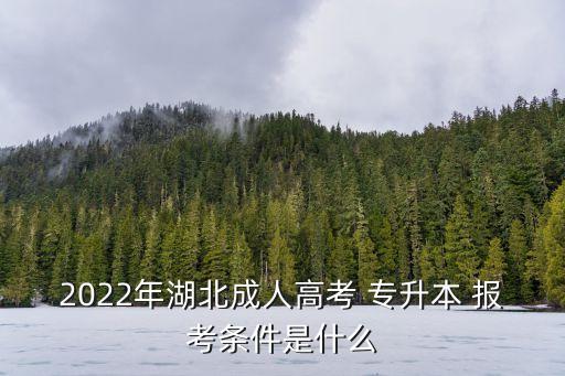 2022年湖北成人高考 專升本 報(bào)考條件是什么