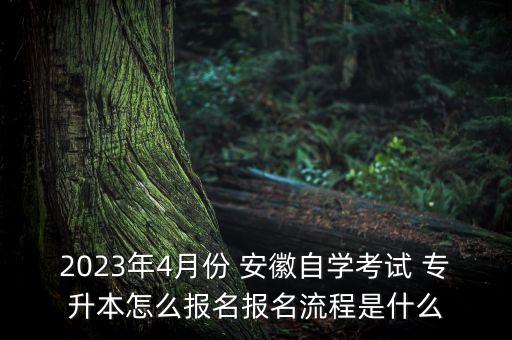 安徽招生網(wǎng)專升本,安徽專升本各校招生錄取比例