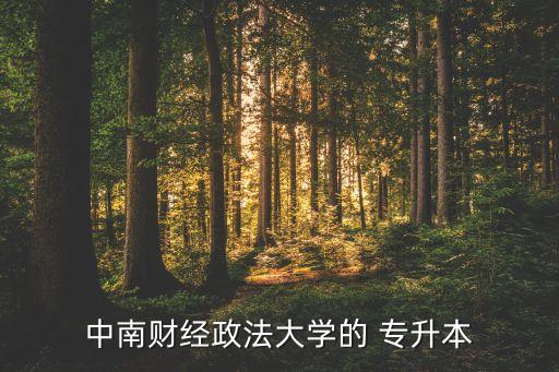 中南財經(jīng)政法大學的 專升本