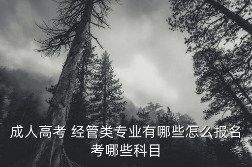 成人高考 經(jīng)管類專業(yè)有哪些怎么報(bào)名考哪些科目