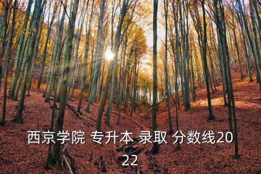 西京學(xué)院 專升本 錄取 分數(shù)線2022