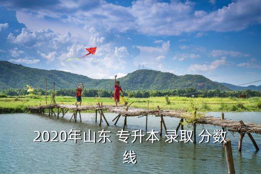 2020年山東 專升本 錄取 分數(shù)線