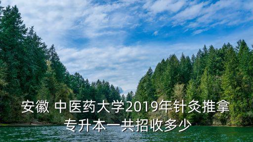 安徽 中醫(yī)藥大學(xué)2019年針灸推拿 專升本一共招收多少