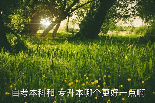  自考本科和 專升本哪個(gè)更好一點(diǎn)啊