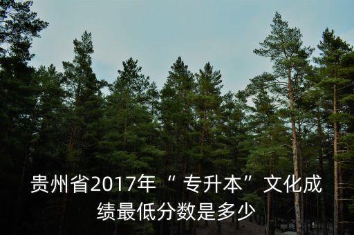 貴州省2017年“ 專(zhuān)升本”文化成績(jī)最低分?jǐn)?shù)是多少