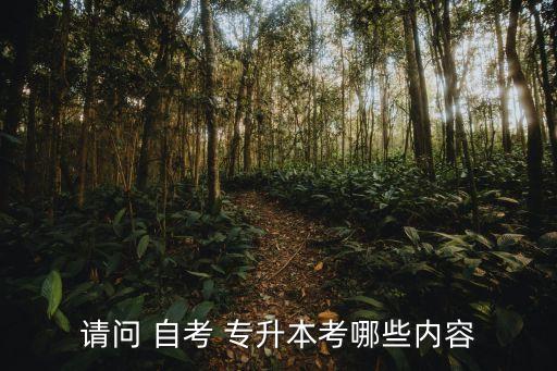 云南省專升本自考科目,自考專升本漢語(yǔ)言文學(xué)考哪些科目