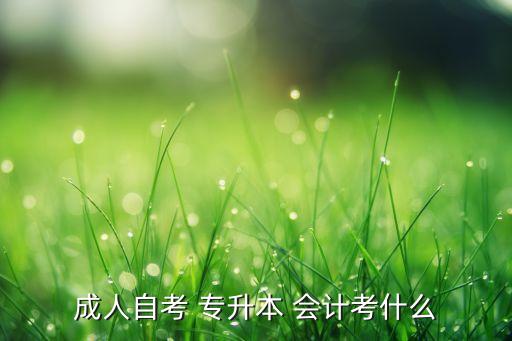 成人自考 專升本 會(huì)計(jì)考什么