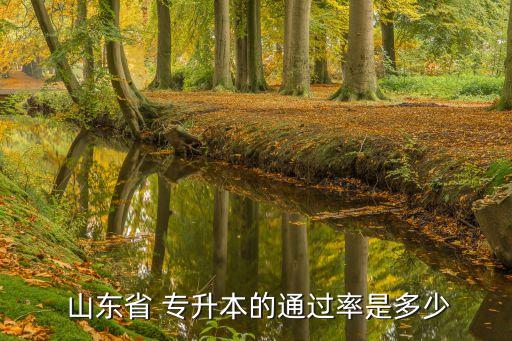  山東省 專升本的通過率是多少