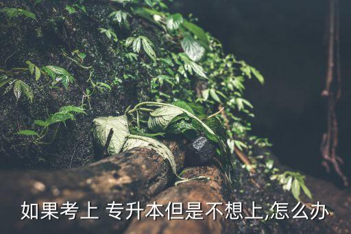 如果考上 專(zhuān)升本但是不想上,怎么辦