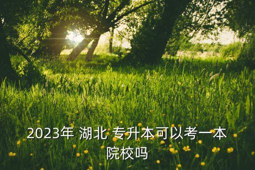 湖北中醫(yī)藥大學專升本查詢錄取,湖南中醫(yī)藥大學專升本錄取