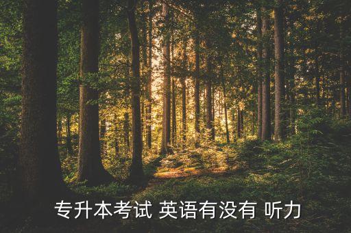 哪個專升本不考英語聽力,河南專升本考英語聽力嗎