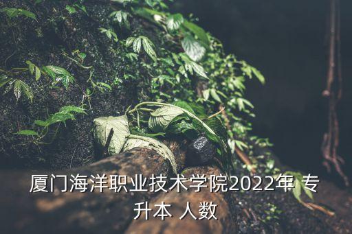 廈門(mén)海洋職業(yè)技術(shù)學(xué)院2022年 專(zhuān)升本 人數(shù)