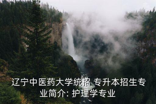  遼寧中醫(yī)藥大學(xué)統(tǒng)招 專升本招生專業(yè)簡(jiǎn)介: 護(hù)理學(xué)專業(yè)