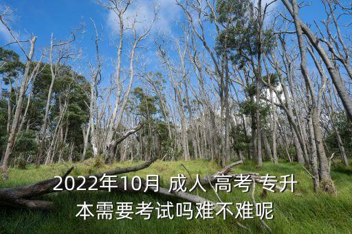 2022年10月 成人 高考 專升本需要考試嗎難不難呢