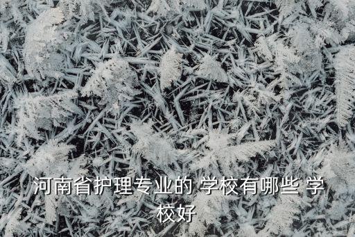  河南省護(hù)理專業(yè)的 學(xué)校有哪些 學(xué)校好