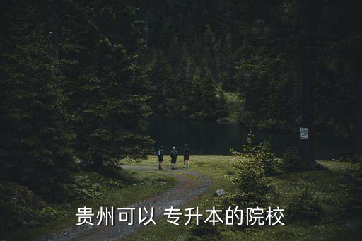 有哪些可以專升本的學(xué)校名單,廣東專升本有哪些學(xué)校名單及專業(yè)