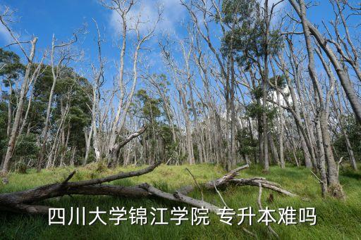  四川大學錦江學院 專升本難嗎