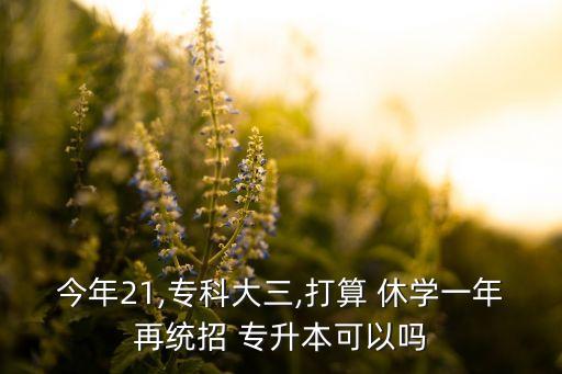 專升本新生休學(xué),?？菩輰W(xué)一年還能專升本嗎