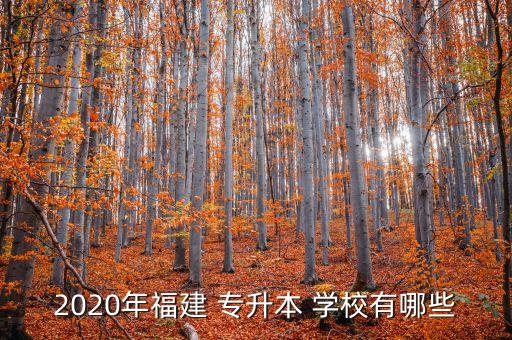 2020年福建 專(zhuān)升本 學(xué)校有哪些