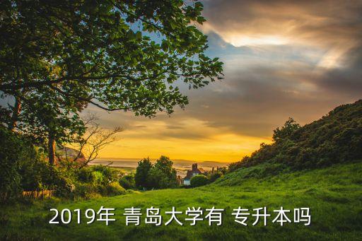 2019年 青島大學(xué)有 專升本嗎