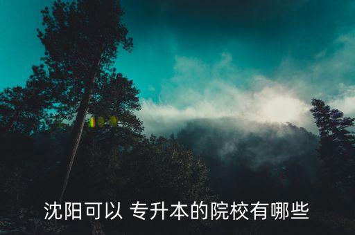 沈陽可以 專升本的院校有哪些