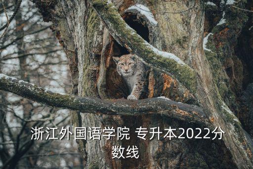  浙江外國(guó)語學(xué)院 專升本2022分?jǐn)?shù)線