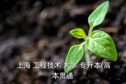  上海 工程技術(shù) 大學 專升本(高本貫通