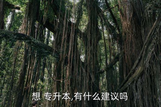 打算專升本的規(guī)劃書,專升本規(guī)劃書1000字