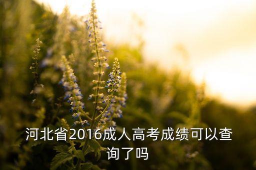  河北省2016成人高考成績(jī)可以查詢(xún)了嗎