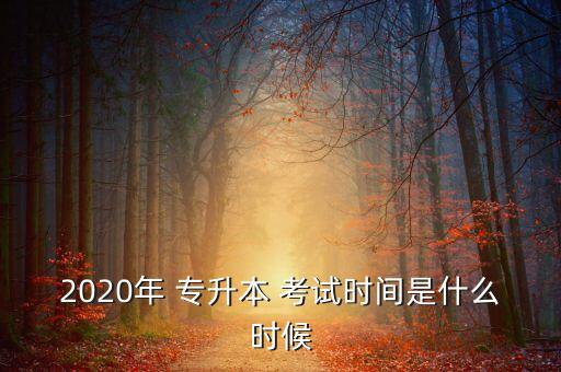 2020年 專(zhuān)升本 考試時(shí)間是什么時(shí)候