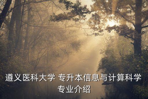 遵義醫(yī)科大學(xué) 專升本信息與計(jì)算科學(xué)專業(yè)介紹