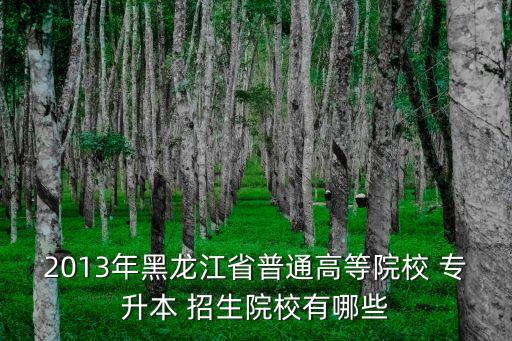 2013年黑龍江省普通高等院校 專升本 招生院校有哪些