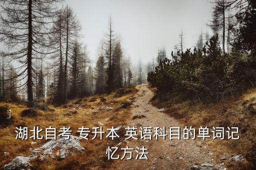 湖北自考 專升本 英語科目的單詞記憶方法