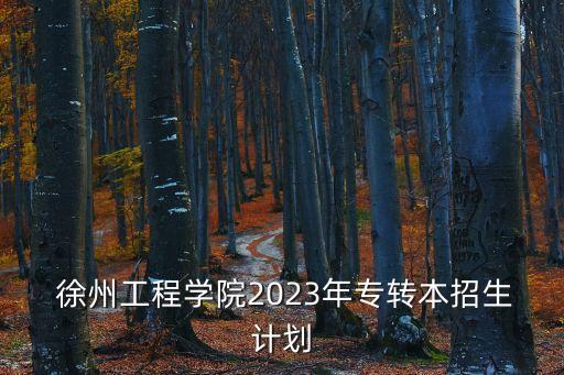  徐州工程學(xué)院2023年專轉(zhuǎn)本招生計劃