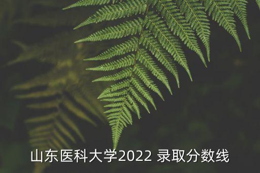 山東醫(yī)科大學(xué)2022 錄取分?jǐn)?shù)線