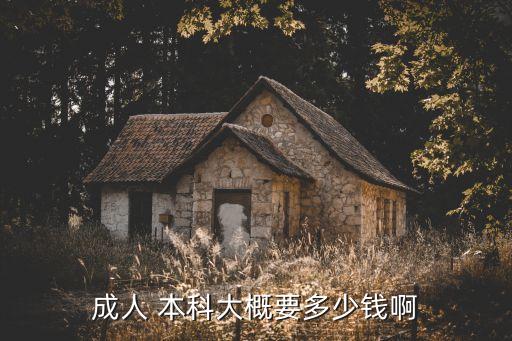 成人 本科大概要多少錢啊