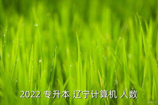 遼寧專升本每年人數(shù),2022遼寧土木專升本人數(shù)