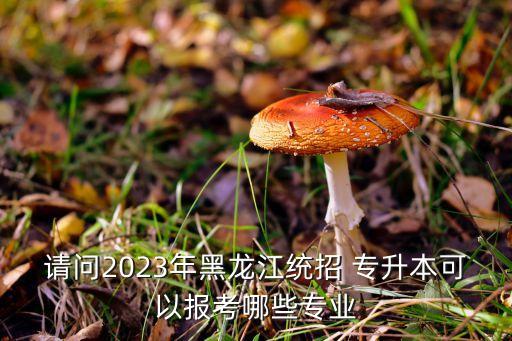 請(qǐng)問2023年黑龍江統(tǒng)招 專升本可以報(bào)考哪些專業(yè)