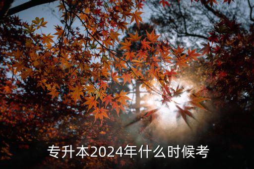  專升本2024年什么時候考