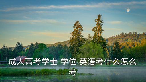 成人高考學(xué)士 學(xué)位 英語(yǔ)考什么怎么考