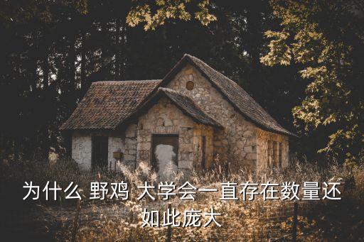 野雞大學(xué)專升本,專升本里面有野雞大學(xué)嗎