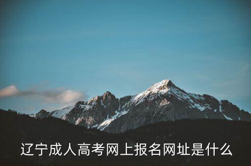  遼寧成人高考網(wǎng)上報(bào)名網(wǎng)址是什么