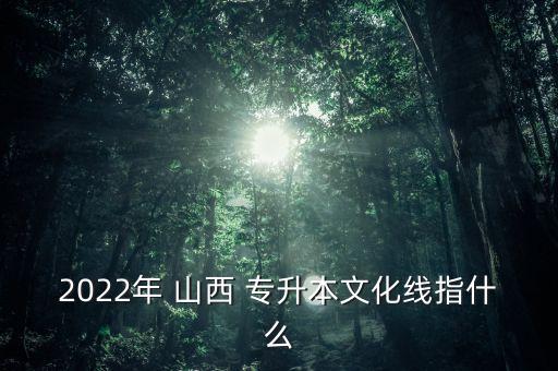 2022年 山西 專升本文化線指什么