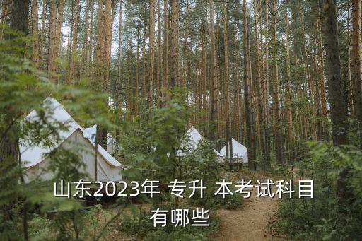  山東2023年 專升 本考試科目有哪些